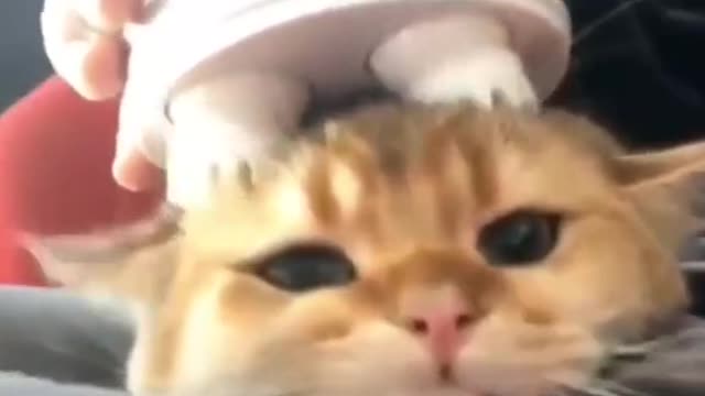 Getting A Massage