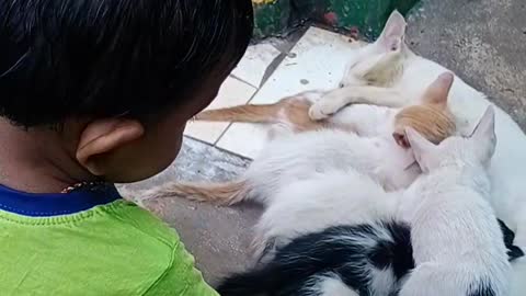 2 years baby playing with cat and kittens