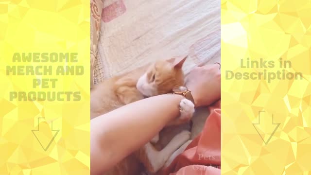 Cute animal with love
