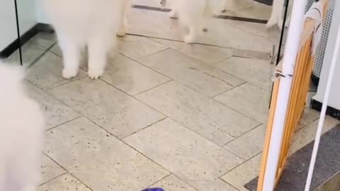 So happy!