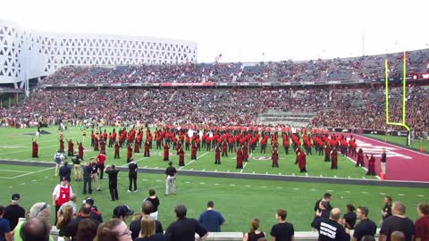 Bear cats have to have the band