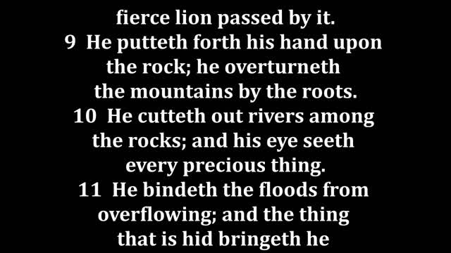 Job 28 King James version