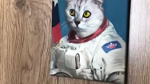 The cat is marveled from the photo