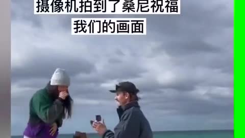 Fly happily! # cute pet # live in the scenery # Golden hair # propose