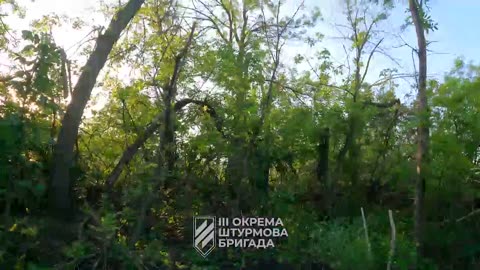 Ukrainian 3rd Assault Division near Bakhmut.