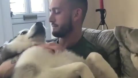 Funny dog, can't help but laugh
