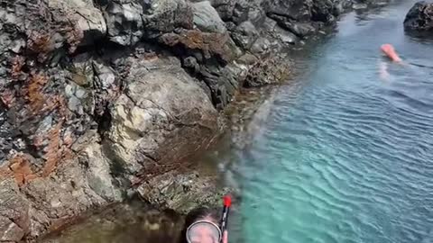 my parents taking me snorkelling in the ocean when I was 6