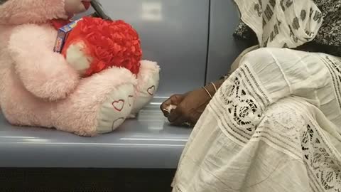 Woman talks to pink bear next to her on train