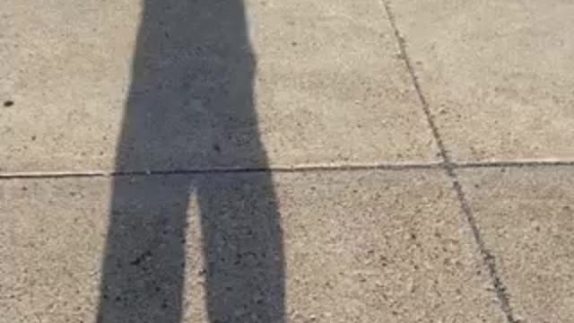 Freeeeeeeeedom at it’s finest