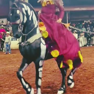 the horse dance | viral horse | Funny animals