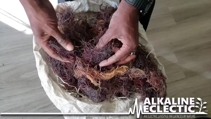 Alkaline ECLECTIC Jamaican Sea Moss