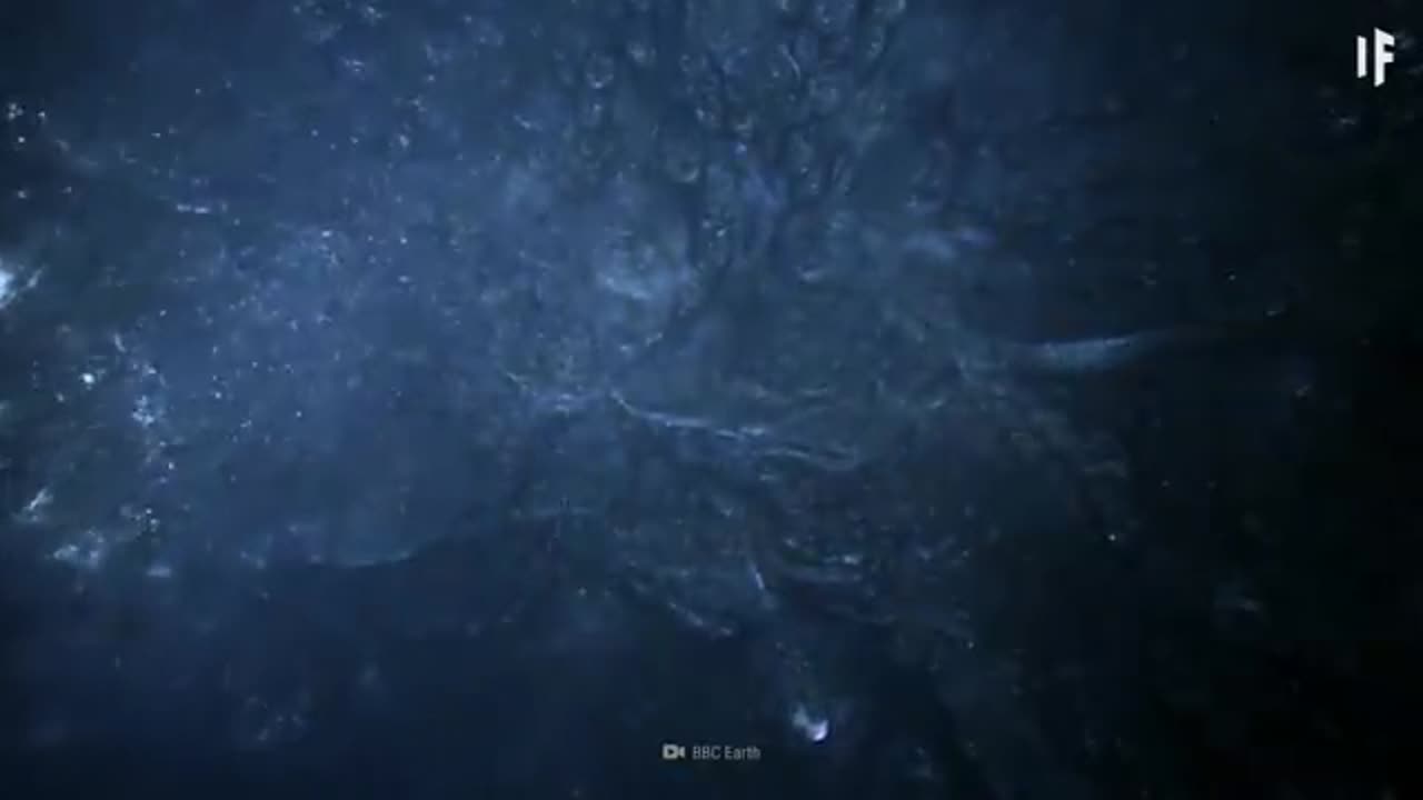 What If You Fell Into Neptune?