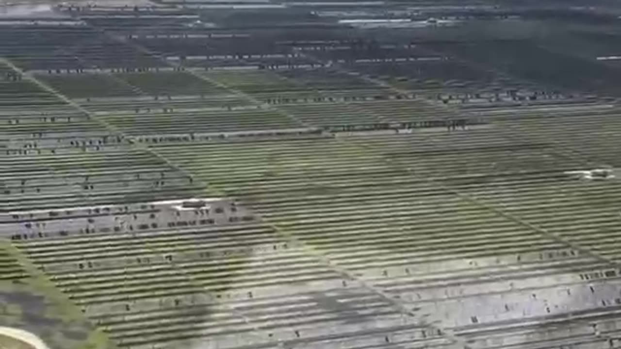 A single hail storm in Damon, Texas, destroys thousands of acres of solar panels. *1min