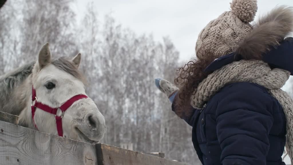 child petting horse