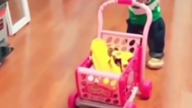 dog pushing the cart hahaha