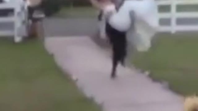 funny wedding falls