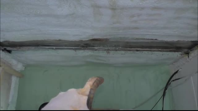 Roof Holes the off grid tiny house