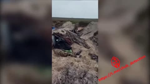 Ukraine War - After the battle near Aleksandrovka (Graphic)