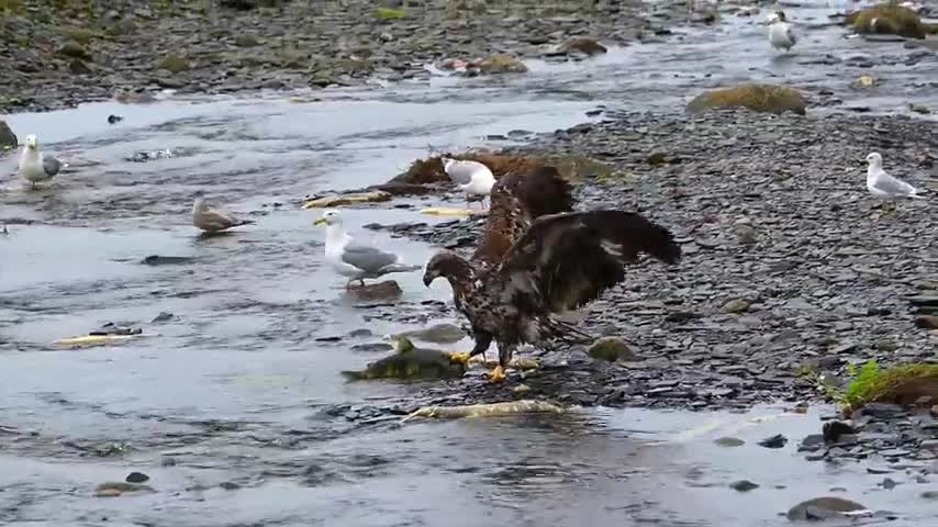 Fishing the Salmon Derby