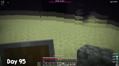 Minecraft video game