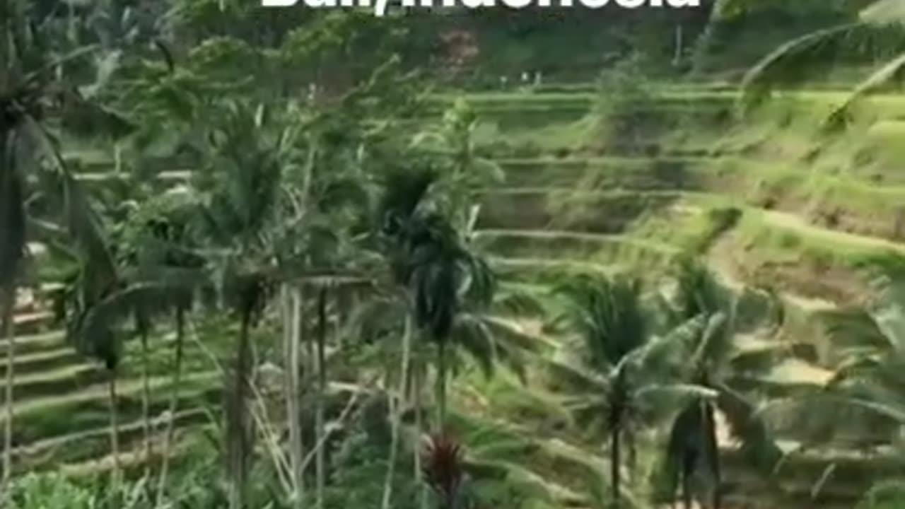 BALI land