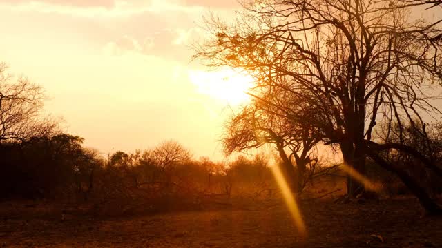 Last ray of light in the evening!