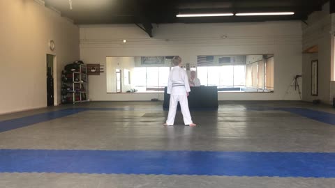 Flynn karate test 2