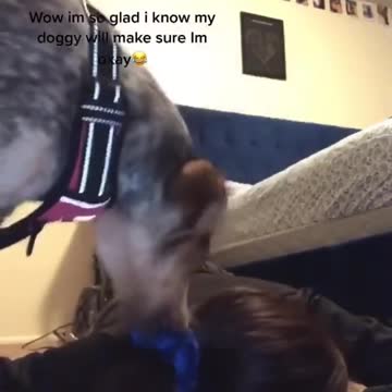 This is hilarious😂😂👌