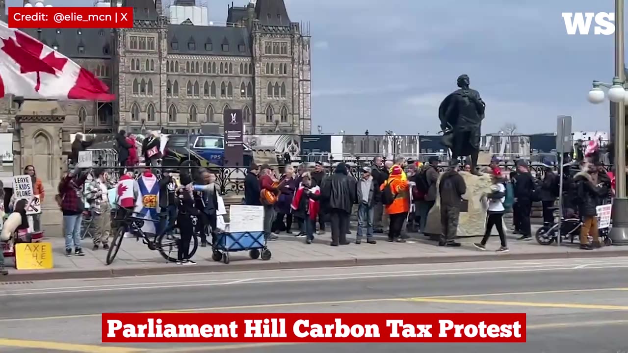 ‘Axe the Carbon Tax Protests’