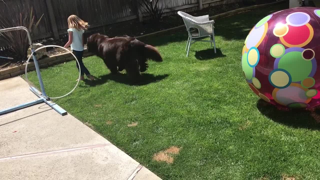 Little girl makes backyard obstacle course for her dog