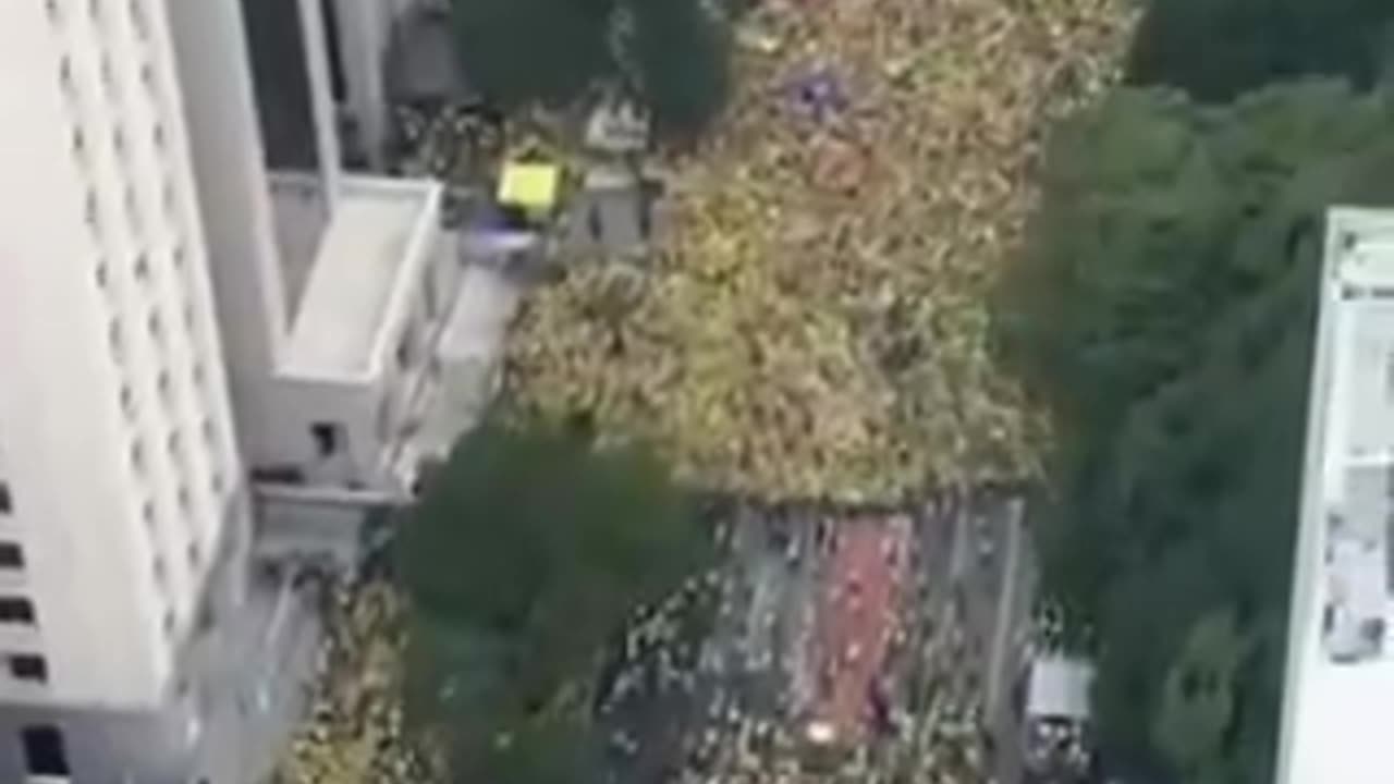 brazil revolution NOW. fuck WEF leaders fakes liars