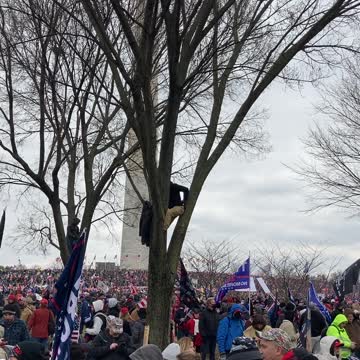 January 6, what actual patriots were doing.