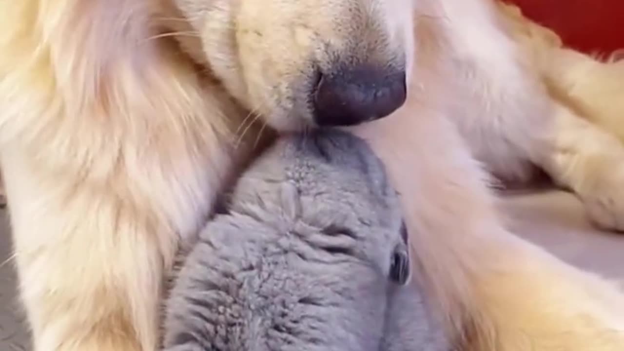 they'll be friends all the time