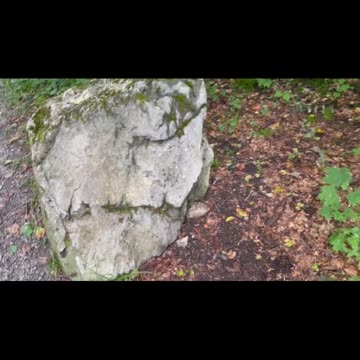 Freedom Cash Geocaching Paper Wallet - Under a Rock