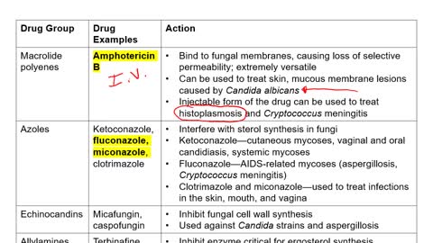 Microbiology - Antimicrobials