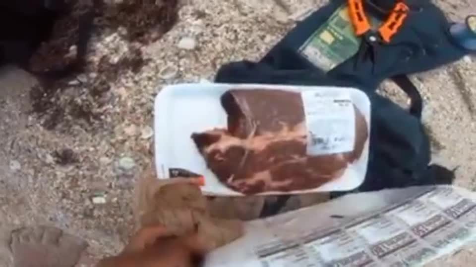 It's a crazy idea to fish with chicks or meat.