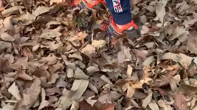 the sound of stepping on fallen leaves