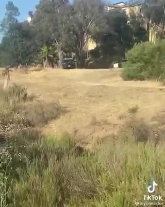 I bet there in trouble