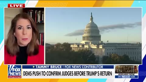 Democrats ‘want to stack the Supreme Court’_ Tammy Bruce on push to confirm judges