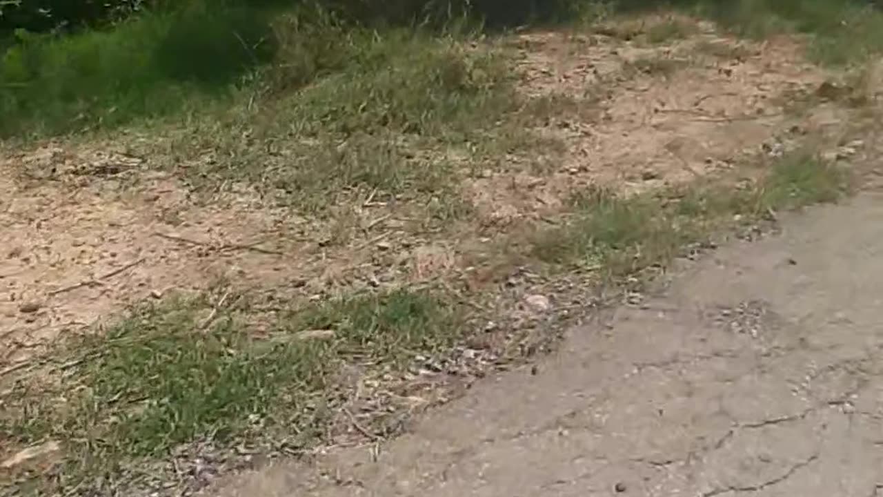 Bike ride enjoye bike ride green feilds village life beautiful life love the ride bikers love