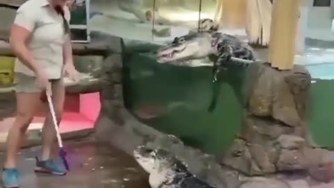 Cute and adorable animal behavior makes anyone happy to see it