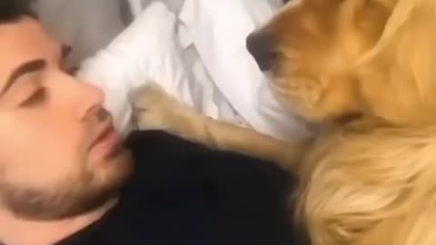 DOG WITH OWNER CUTEST MOMENTS