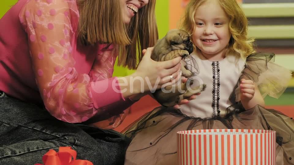 Happy Little Girl Got a Puppy for Her Birthday