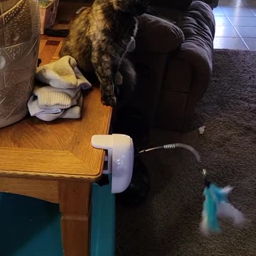 New toy for Christmas