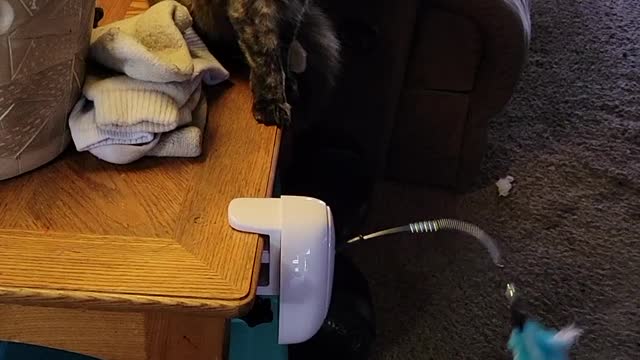 New toy for Christmas