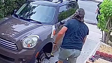 Parrot causes Cops to Come