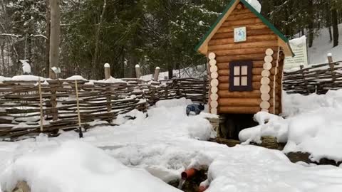 Cute French bulldog tore off a snowman's arm