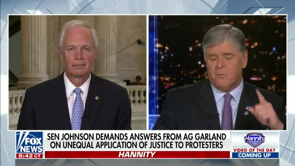 Senator Johnson on Hannity 6.10