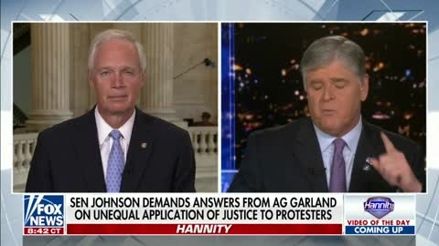 Senator Johnson on Hannity 6.10