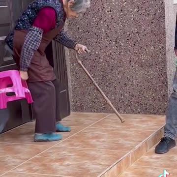 Intelligent dog 🐕 part 5